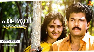 Palaruvi Kuliraniyum Video Song | Kaakkathollaayiram | Kaithapram | Johnson | MG Sreekumar