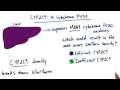 cytochrome p450 tales from the genome