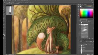 Foxes and their enchanted forest - timelapse