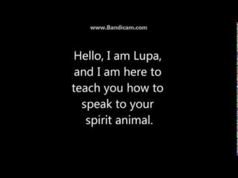 How to speak to your spirit animal How to speak to your spirit animal