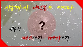 [맥재]지금까지 이런놈은 없었다. 이놈은 배스인가 메기인가 (ft.극한직업)