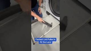No One Faster Pulling Lint No One Laundry