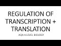 REGULATION OF TRANSCRIPTION & TRANSLATION - AQA A LEVEL BIOLOGY + EXAM QUESTIONS RUN THROUGH