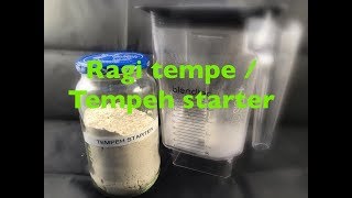 Membuat dan memperbanyak ragi tempe || How to multiplying tempeh starter || Homemade tempeh starter