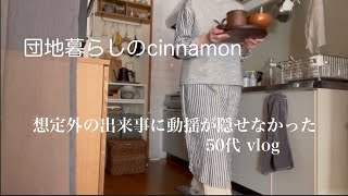 【団地の年末年始事情】 諦めないで楽しもう / 初詣  / 50代 / 派遣社員 / シンプリスト / Tokyo / vlog