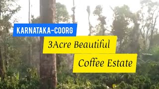 3 Acre Robusta Coffee For Sale | Coorg | Karnataka (47 Lakh)