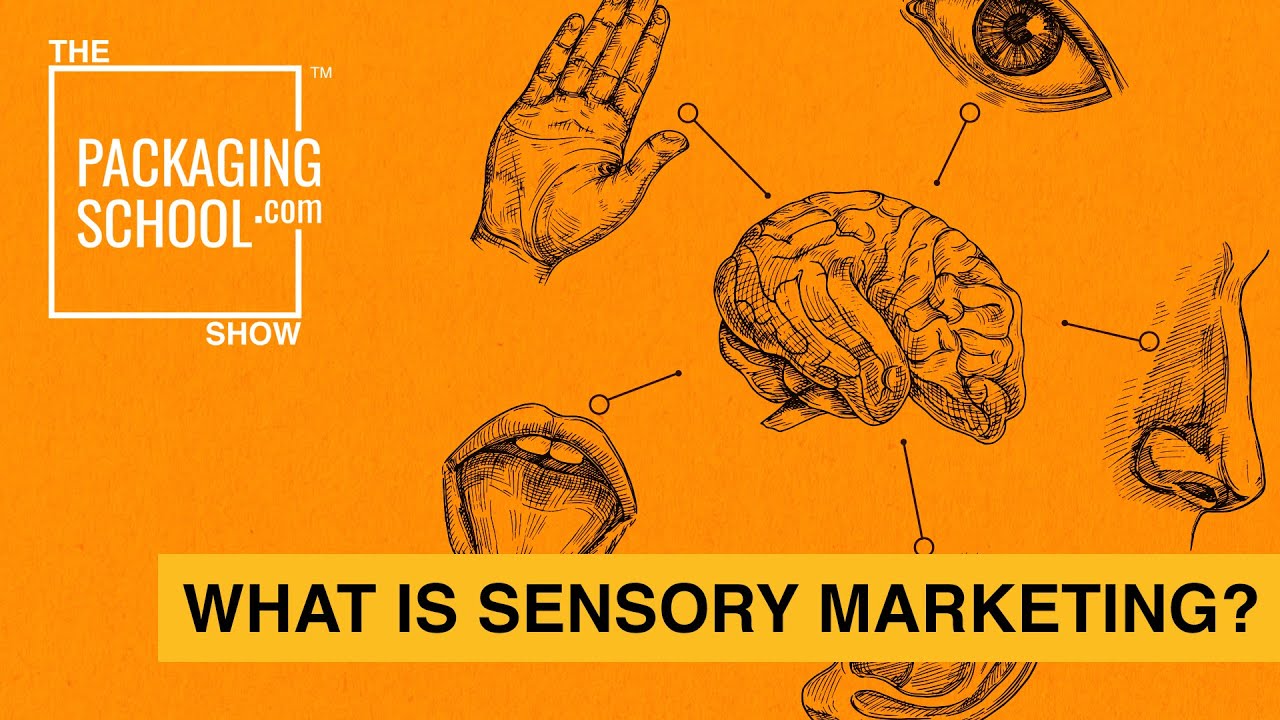 What Is Sensory Marketing? - YouTube