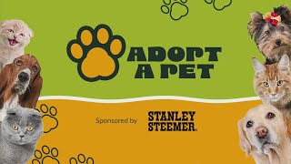 Adopt A Pet | Feb. 14, 2025 | News 19 at 4:30 p.m.