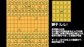 中将棋の駒の動かし方(将棋ファン向け)