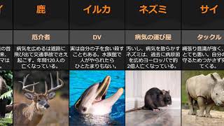 【気を付けて！】見た目に反して危険な動物