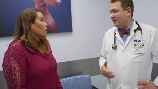 Vca Pet Health