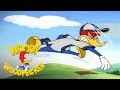 Woody Woodpecker | Woody Plays Baseball | Full Episode