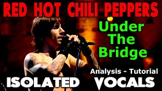 Red Hot Chili Peppers - Under The Bridge - Anthony Kiedis - ISOLATED VOCALS - Analysis and Tutorial