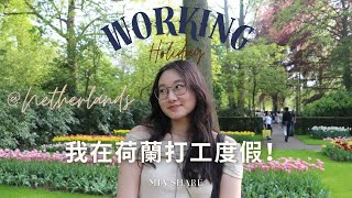 荷蘭打工度假心得💭 值得來嗎？Working Holiday in Netherlands🇳🇱  | Mia Share