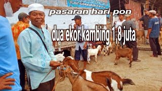 PASAR KAMBING PON AMBARAWA