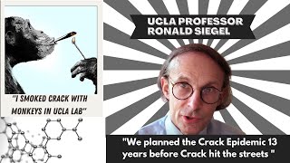 UCLA Professor admits to starting the Crack Epidemic during the 80s #warondrugs #crack #monkey