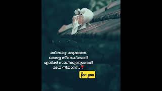 ഒരിക്കലും മടുക്കാതെ എനിക്ക് സ്നേഹിക്കാൻ സാധിക്കുന്നുണ്ടെങ്കിൽ അതു നിന്നെയാണ് ..#foryou #shorts