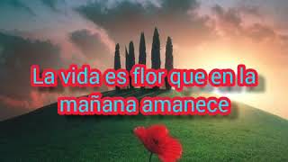 La vida es flor ,iglesia cristiana evangelista