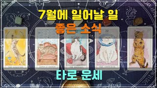 타로 운세 - 7월에 일어날 일, 좋은 소식