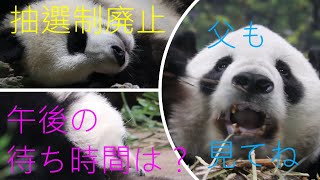 上野動物園に行こう！🐼 ㊷ ~2022年10月4日 (母子パンダ並んだ順に観覧･午後編)