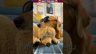 Micky 🐶 The dog | Story Of Amazing Dog 🐕 | Malayalam Funny | Part-221 #dog #shorts #malayalam #cute