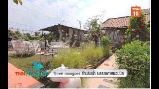 three mangoes ร้านริมน้ำ บรรยากาศชวนชิล tnnทั่วไทย เช็คอินทั่วไทย