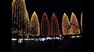 元渕江公園　光の祭典