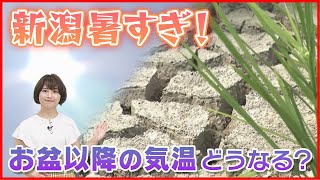 ”体温超え”　新潟の猛暑　なぜこんなに暑いのか　いつまで続くのか《新潟》