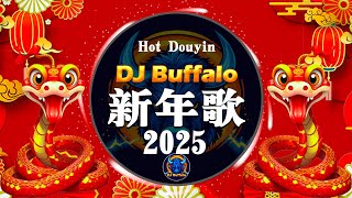 【2025新年歌】 蛇年新年歌 - 新年快樂2025 🧧 【版抖音“DJ Buffalo💲Happy Chinese New Year 2025🎉