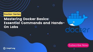 Mastering Docker Basics: Essential Commands and Hands-On Labs