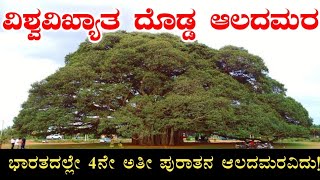 ದೊಡ್ಡ ಆಲದಮರ | ಕೇತೋಹಳ್ಳಿ | ಬೆಂಗಳೂರು | Dodda alada Mara | ketohalli | Bangalore