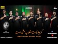 Momin Abad 2024 | New Noha | کربوبلا نامت انقلاب عشق است | Daste Hussaini Mominabad |Ayam e Muharram