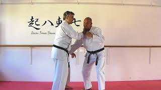 Hangetsu Bunkai Strategies 2018 week 26 koryu karate oyo jutsu