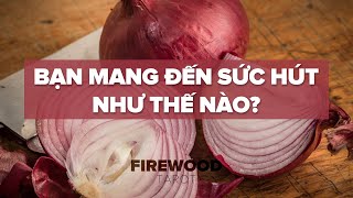 Bạn mang đến sức hút như thế nào? | Firewood Tarot