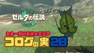 【ゼルダの伝説　ティアキン】コログの実28！カルーガ峠鳥望台エリア