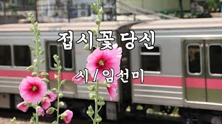 (영상시) 접시꽃 당신 / 임선미 시