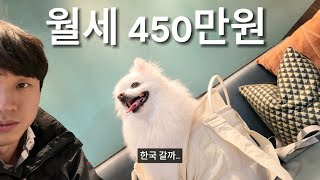 월세 450 vs 420 미친 거 같다. 미국 보스턴 아파트 임장 투어 [미국05]