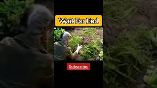 Wait For End Magical Movie ||#ytshorts #facts #shortvideo