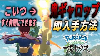 【ポケモンアルセウス】最初の最強ギャロップを即仲間にする方法【徹底攻略】