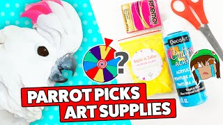 My Parrot Picks ART CRAFT SUPPLIES Challenge #5 spin the wheel!