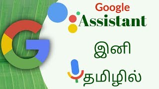 Google assistant இப்போது உங்கள் மொபைலில்  தமிழில் பேசிக் கொள்ளலாம்.