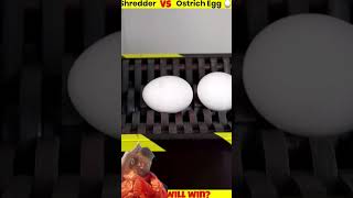 #youtubeshorts #egg #interestingfacts #experiment #amazingfacts