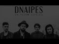 dnaipes aquele som audio