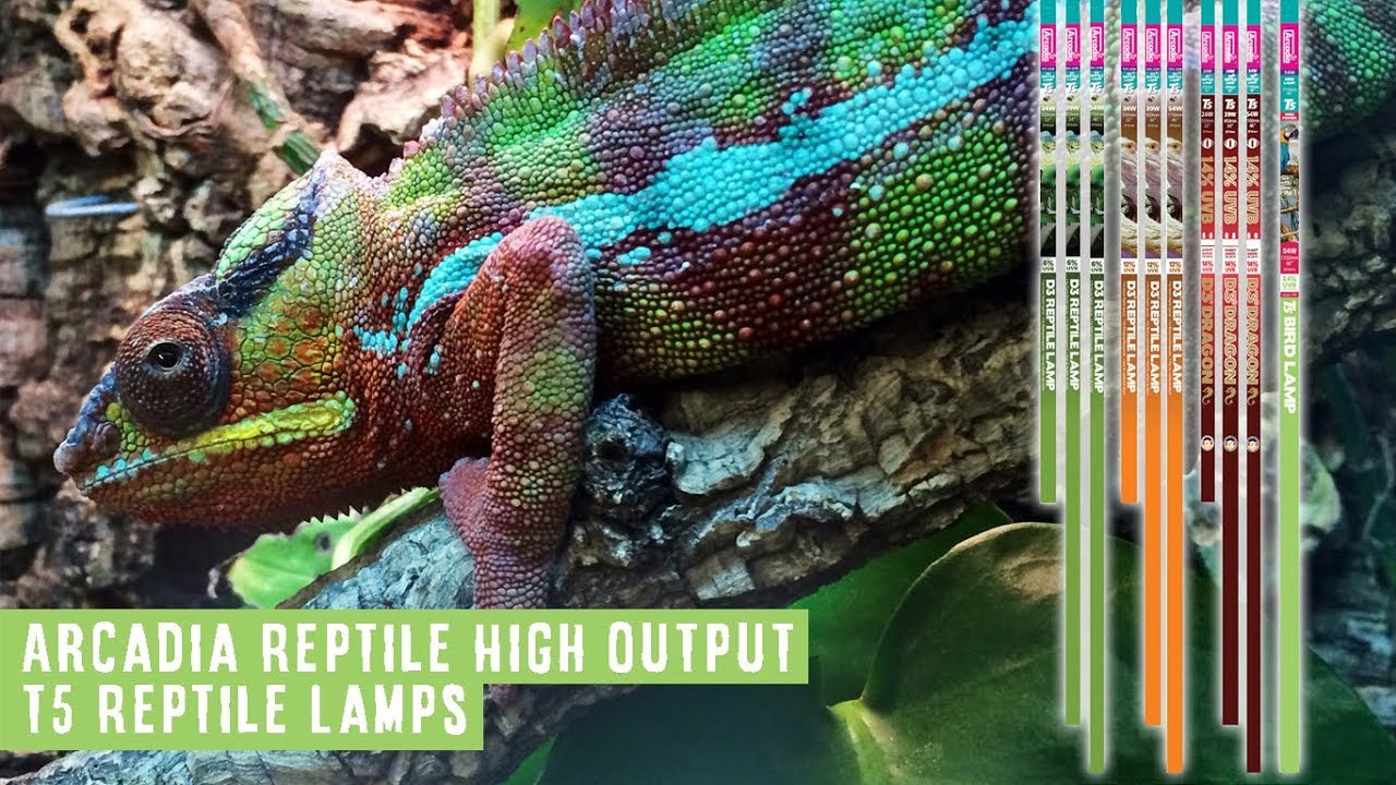 T5 UV Reptile Lighting By Arcadia Reptile, Our FULL Range. Tried ...