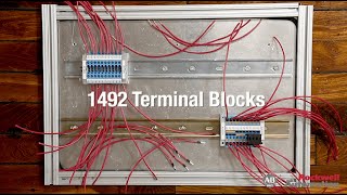 Allen-Bradley 1492-P Wiring Speed Comparison Video