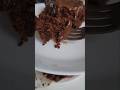 Chocolate cake in pan