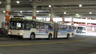 Westchester County BeeLine 2002 Neoplan AN460 Arriving @ White Plains Transit Center!