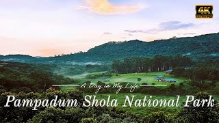 Bison Log House | Pampadum Shola National Park | Vattavada | Munnar | Idukki | Kerala