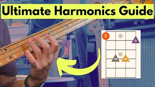 Bass Guitar Harmonics [ALL You Need to Know]