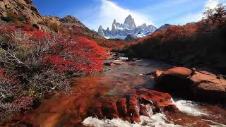 Autumn Mountain River Relaxing Water Sounds - Relaxing River for Sleep, Study, Meditation and Stress